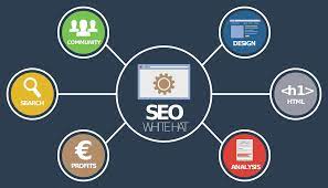 optimisation du seo