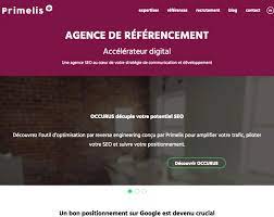 agence seo primelis