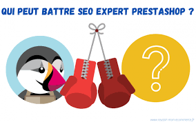 expert en référencement