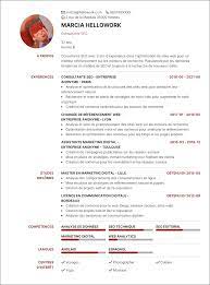 seo exemple