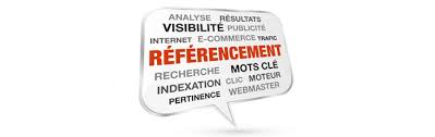 entreprise de referencement internet