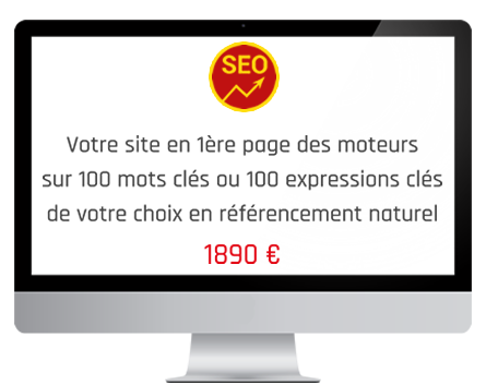 spécialiste référencement google